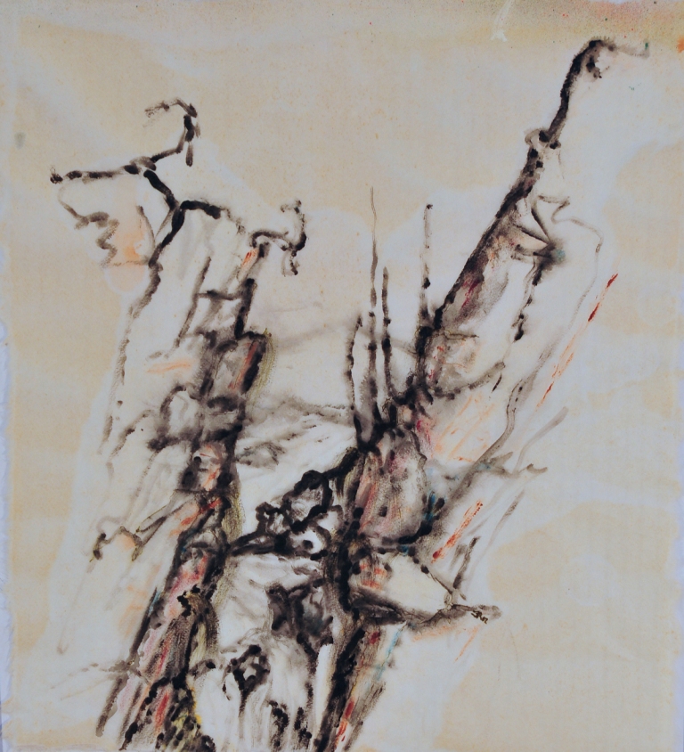 D02 Schlucht,Pinselze,48x43,2002