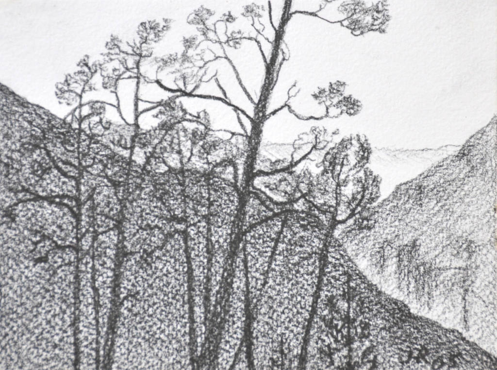 D05 im Bergwald - Bleistiftzeichn, 11,5 x 16 cm, 2005