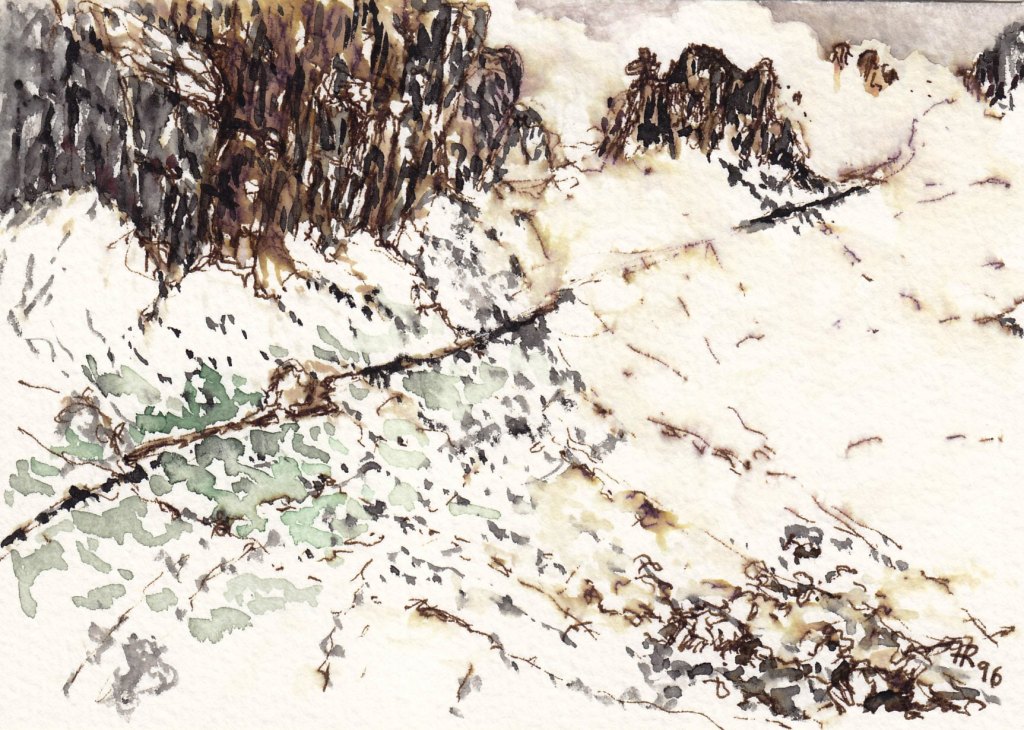 D96 Allguer Alpen 1, Feder laviert, 10x15,1996