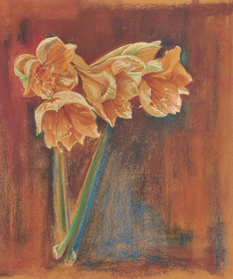 DAmaryllis,Pastell,46x39,1993